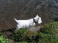 Klik op de foto voor groter formaat